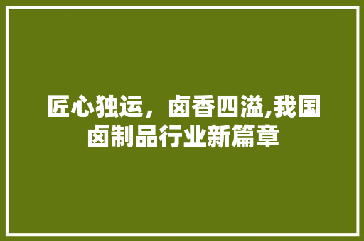 匠心独运，卤香四溢,我国卤制品行业新篇章
