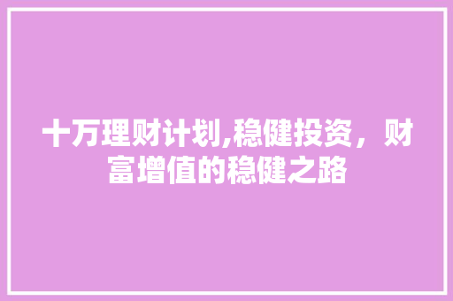 十万理财计划,稳健投资，财富增值的稳健之路