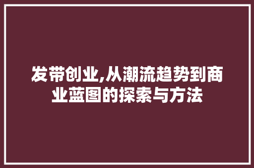 发带创业,从潮流趋势到商业蓝图的探索与方法