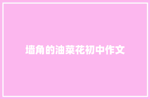 墙角的油菜花初中作文 诗歌创作