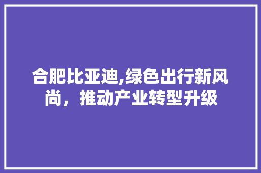 合肥比亚迪,绿色出行新风尚，推动产业转型升级 写作素材