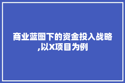 商业蓝图下的资金投入战略,以X项目为例 写作素材