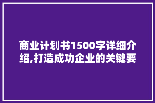 商业计划书1500字详细介绍,打造成功企业的关键要素