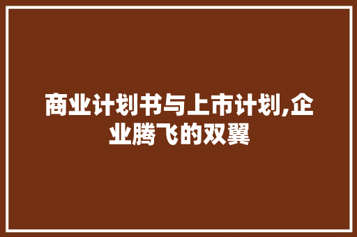 商业计划书与上市计划,企业腾飞的双翼