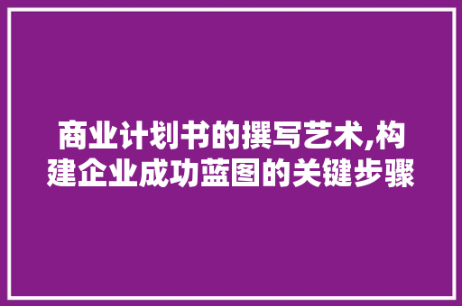 商业计划书的撰写艺术,构建企业成功蓝图的关键步骤