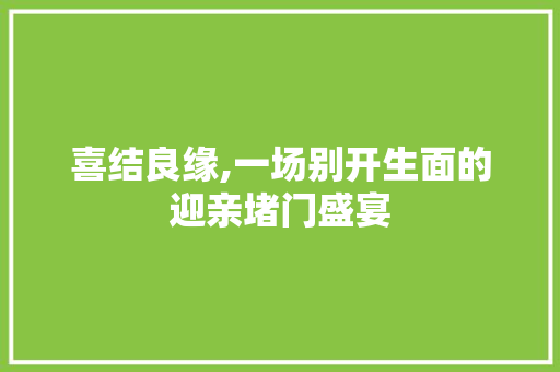 喜结良缘,一场别开生面的迎亲堵门盛宴