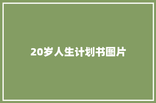 20岁人生计划书图片