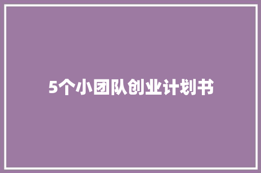 5个小团队创业计划书 范文赏析