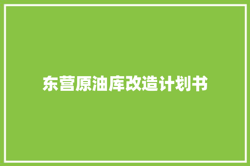 东营原油库改造计划书