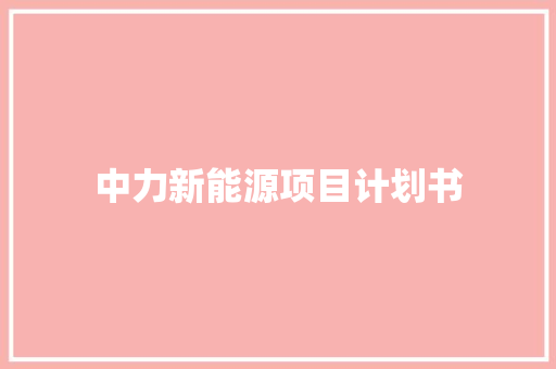 中力新能源项目计划书