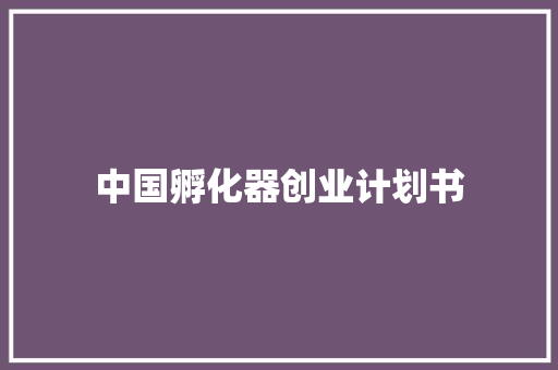 中国孵化器创业计划书
