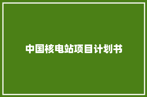 中国核电站项目计划书