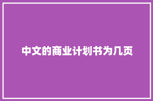 中文的商业计划书为几页