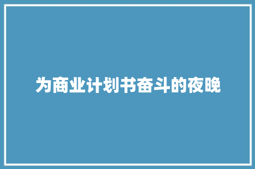 为商业计划书奋斗的夜晚