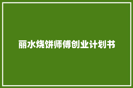 丽水烧饼师傅创业计划书
