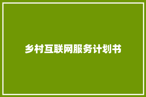 乡村互联网服务计划书