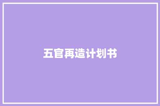 五官再造计划书
