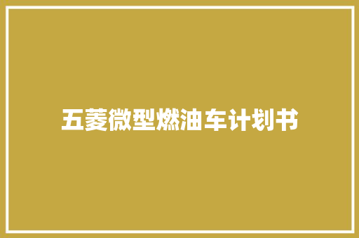 五菱微型燃油车计划书