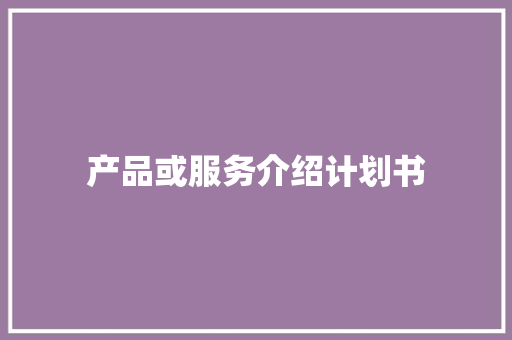 产品或服务介绍计划书 报告写作