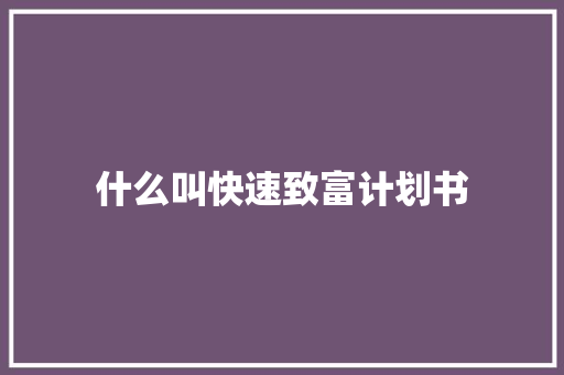 什么叫快速致富计划书