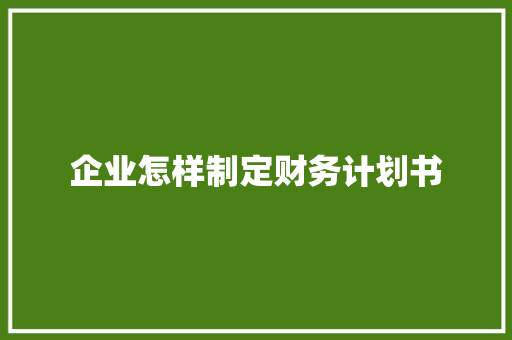 企业怎样制定财务计划书 写作技巧