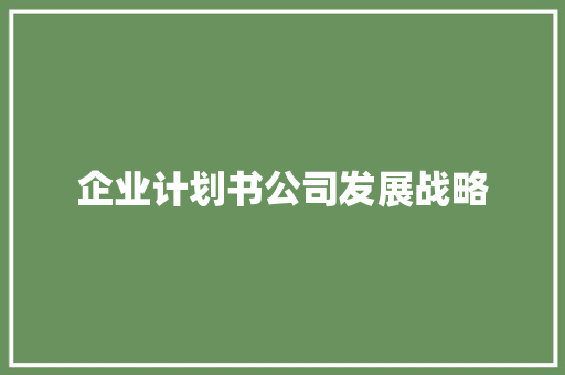 企业计划书公司发展战略 词汇积累