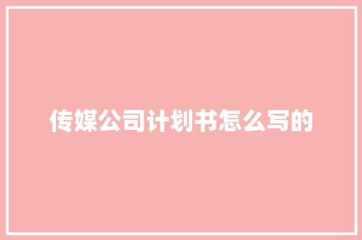 传媒公司计划书怎么写的