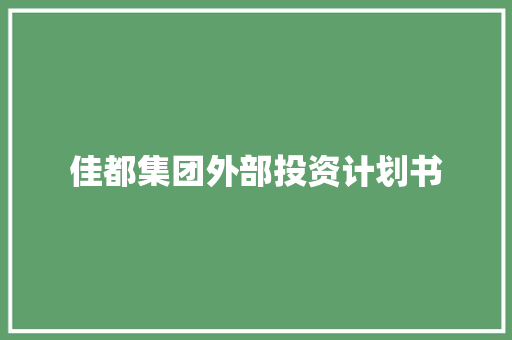 佳都集团外部投资计划书