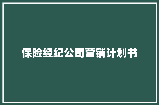 保险经纪公司营销计划书 范文赏析