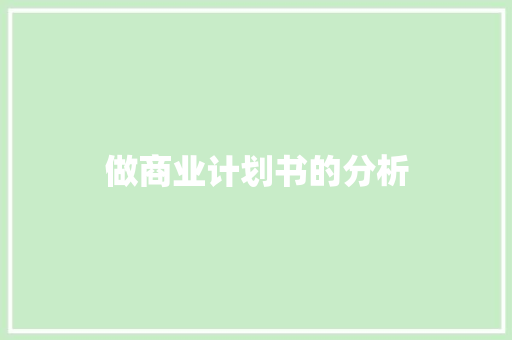 做商业计划书的分析