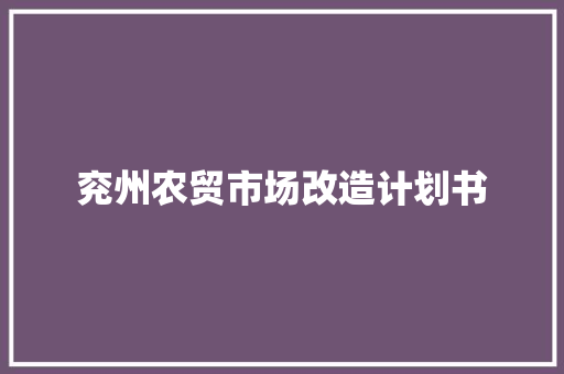 兖州农贸市场改造计划书