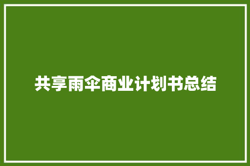 共享雨伞商业计划书总结