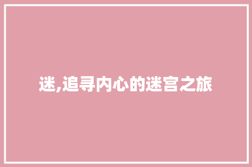 迷,追寻内心的迷宫之旅