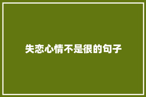 失恋心情不是很的句子 写作技巧