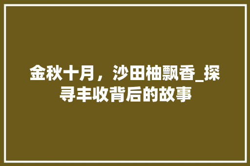 金秋十月，沙田柚飘香_探寻丰收背后的故事