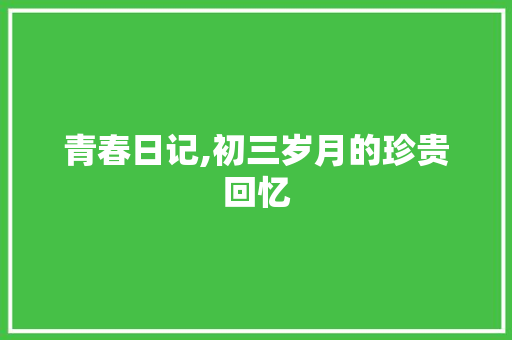 青春日记,初三岁月的珍贵回忆