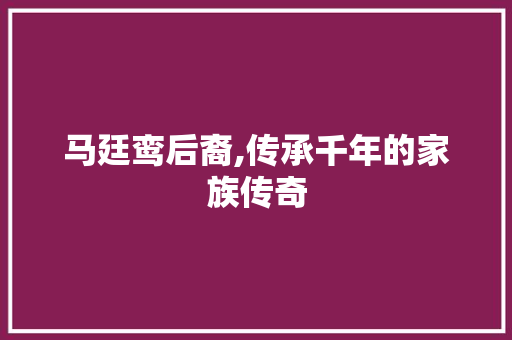 马廷鸾后裔,传承千年的家族传奇 商业文案