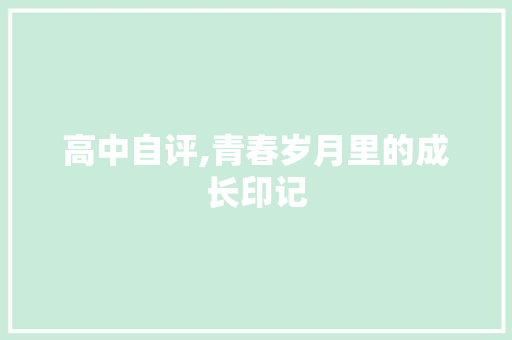 高中自评,青春岁月里的成长印记