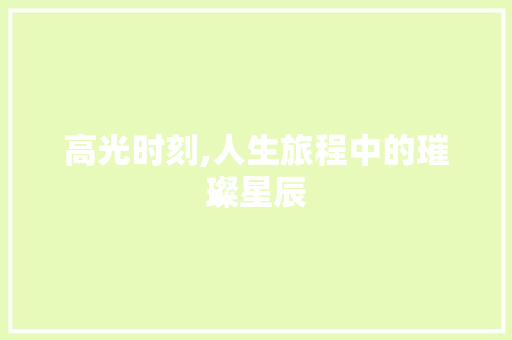 高光时刻,人生旅程中的璀璨星辰