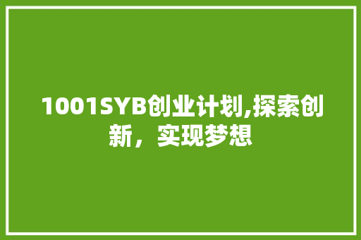 1001SYB创业计划,探索创新，实现梦想