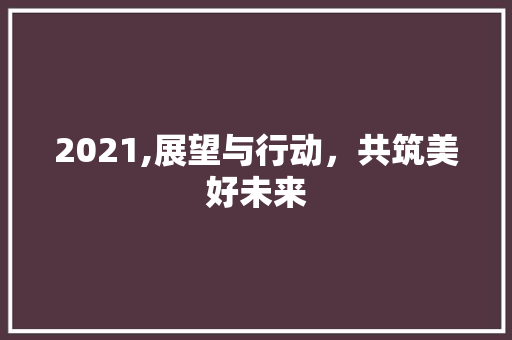 2021,展望与行动，共筑美好未来
