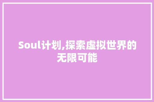 Soul计划,探索虚拟世界的无限可能
