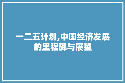 一二五计划,中国经济发展的里程碑与展望