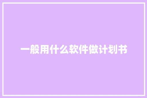 一般用什么软件做计划书