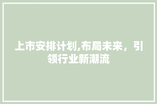 上市安排计划,布局未来，引领行业新潮流