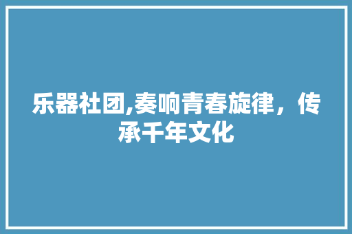 乐器社团,奏响青春旋律，传承千年文化