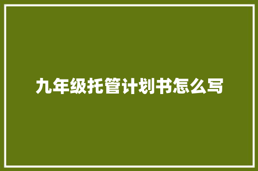 九年级托管计划书怎么写