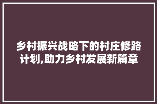 乡村振兴战略下的村庄修路计划,助力乡村发展新篇章