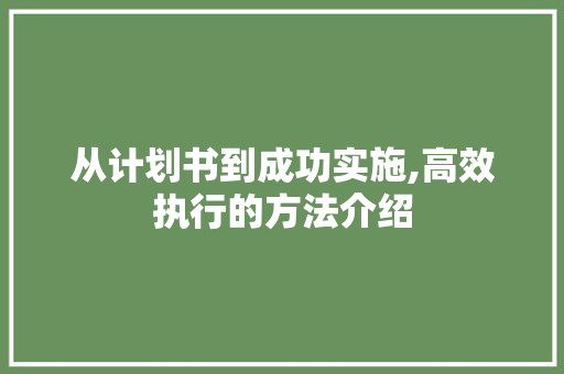 从计划书到成功实施,高效执行的方法介绍