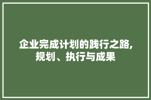 企业完成计划的践行之路,规划、执行与成果